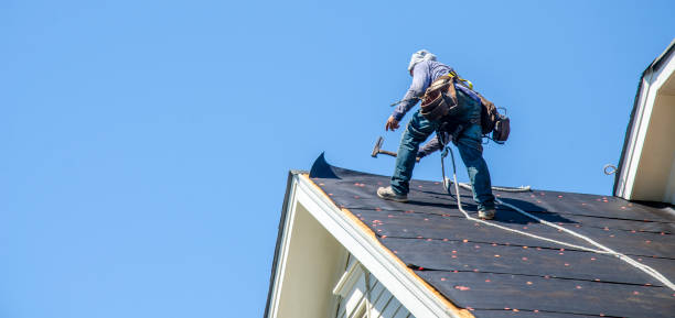 Best Shingle Roofing Installation  in Prudenville, MI